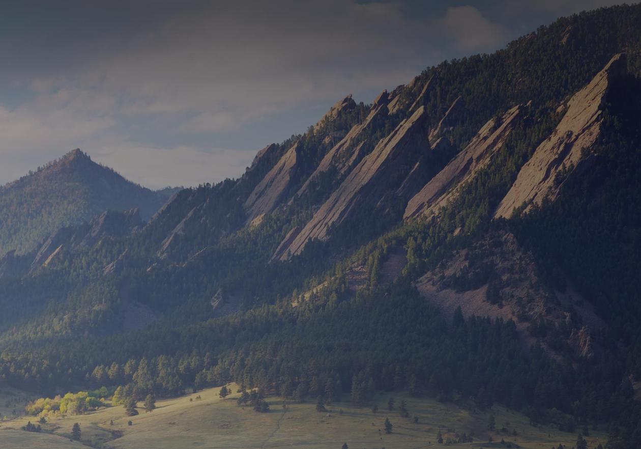 Company History Gibbons White